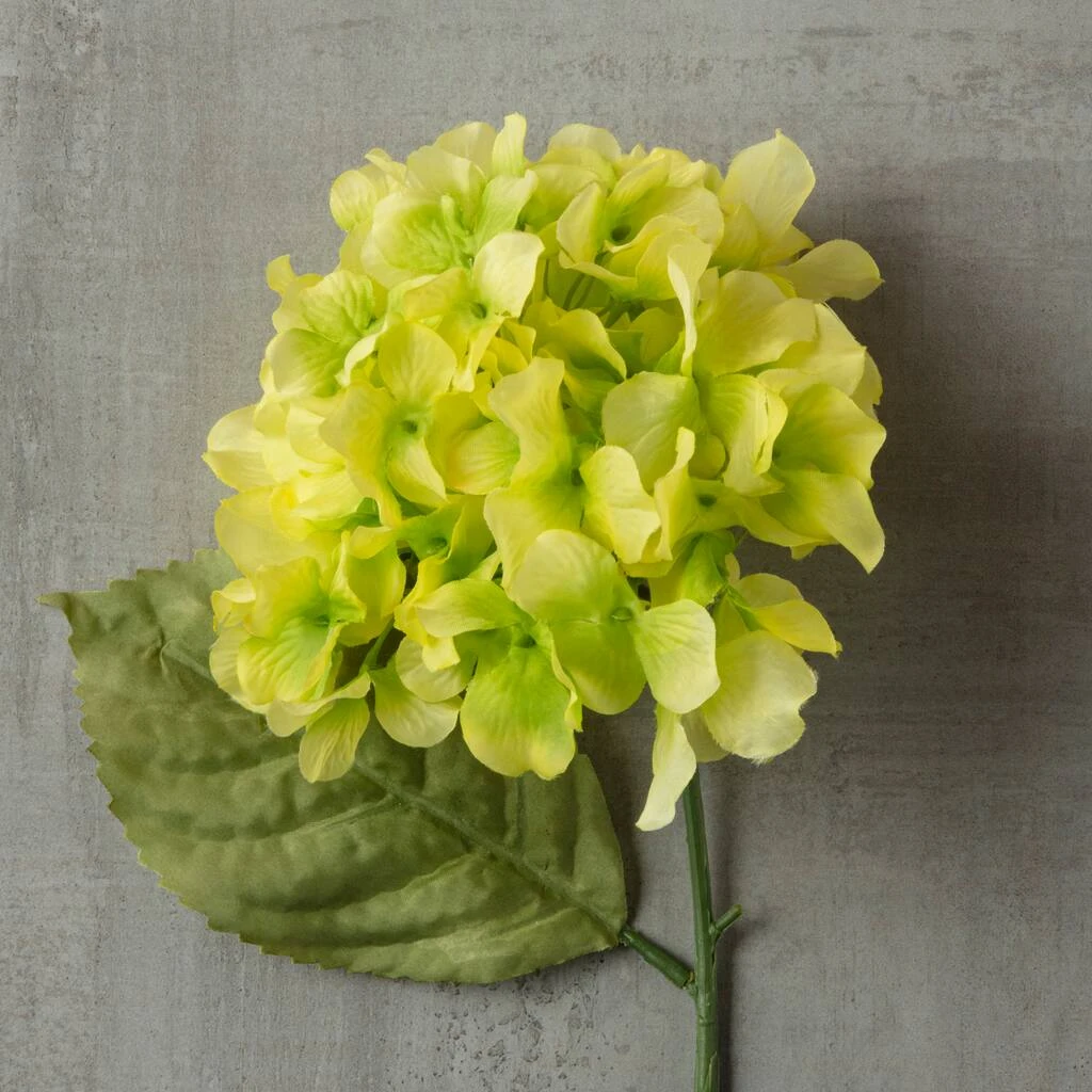 Budget ❤️ 12 Pack: Green Hydrangea Stem by Ashland® 😍 6 Budget ❤️ 12 Pack: Green Hydrangea Stem by Ashland® 😍 - Image 4
