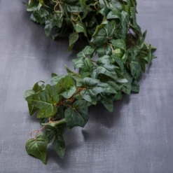 Top 10 🎉 12 Pack: German Ivy Bush by Ashland® ✔️ -Outlet Yuletide Joy Store MP335273 22