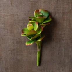 Cheap ⌛ 18 Pack: Green & Orange Succulent Pick by Ashland® 😀 -Outlet Yuletide Joy Store MP337814 25