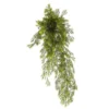 Hot Sale π₯° 12 Pack: Green Springeri Fern Bush by Ashland® π₯° 1 Hot Sale π₯° 12 Pack: Green Springeri Fern Bush by Ashland® π₯° -Outlet Yuletide Joy Store MP339547 1