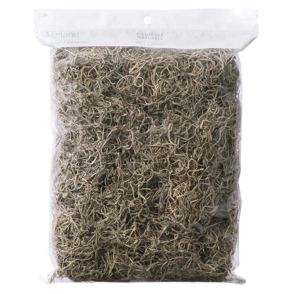 Top 10 π₯° 24 Pack: Spanish Moss by Ashland® π 3 Top 10 π₯° 24 Pack: Spanish Moss by Ashland® π