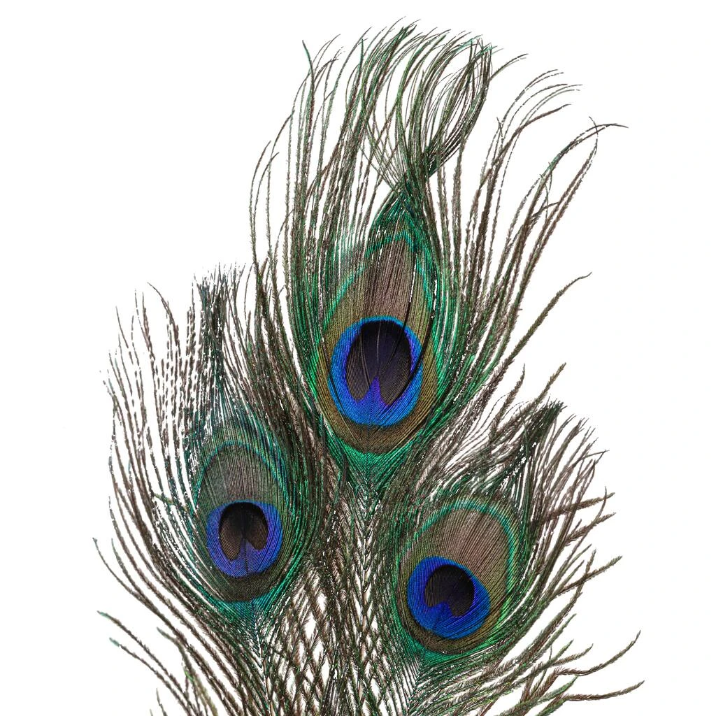 Deals ⭐ 12 Pack: Peacock Feather Picks by Ashland® 🔥 5 Deals ⭐ 12 Pack: Peacock Feather Picks by Ashland® 🔥 - Image 3