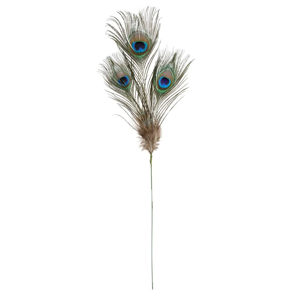 Deals ⭐ 12 Pack: Peacock Feather Picks by Ashland® 🔥 4 Deals ⭐ 12 Pack: Peacock Feather Picks by Ashland® 🔥 - Image 2
