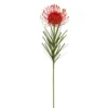 Hot Sale ✨ 12 Pack: Tropical Needle Protea Spray by Ashland® ⭐ -Outlet Yuletide Joy Store MP381033 1