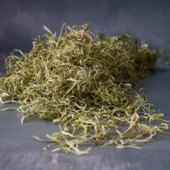 Wholesale 🎁 24 Pack: Basil Green Spanish Moss by Ashland® 🤩