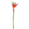 Cheap ✔️ 12 Pack: Tropical Bird of Paradise Stem by Ashland® 🛒 -Outlet Yuletide Joy Store MP390624