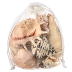 Cheapest 💯 6 Pack: Mixed Shells Value Bag by Ashland® ⭐ -Outlet Yuletide Joy Store MP391530 30