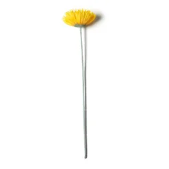 Deals 🤩 12 Pack: Yellow Spider Gerber Daisy Stem by Ashland® 😀 -Outlet Yuletide Joy Store MP392672 21