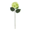 Top 10 ⭐ 12 Pack: Green Hydrangea Stem by Ashland® 🌟 -Outlet Yuletide Joy Store MP400667 1