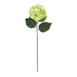 Top 10 ⭐ 12 Pack: Green Hydrangea Stem by Ashland® 🌟