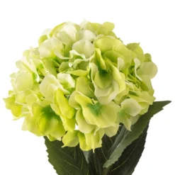 Top 10 ⭐ 12 Pack: Green Hydrangea Stem by Ashland® 🌟 -Outlet Yuletide Joy Store MP400667 20