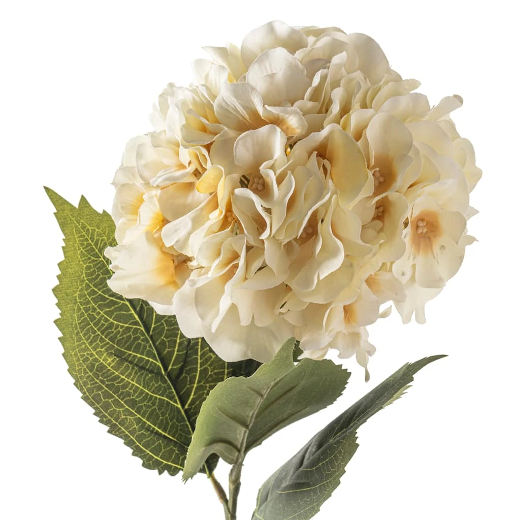 Best deal π― 12 Pack: Cream Hydrangea Stem by Ashland® π 4 Best deal π― 12 Pack: Cream Hydrangea Stem by Ashland® π - Image 2
