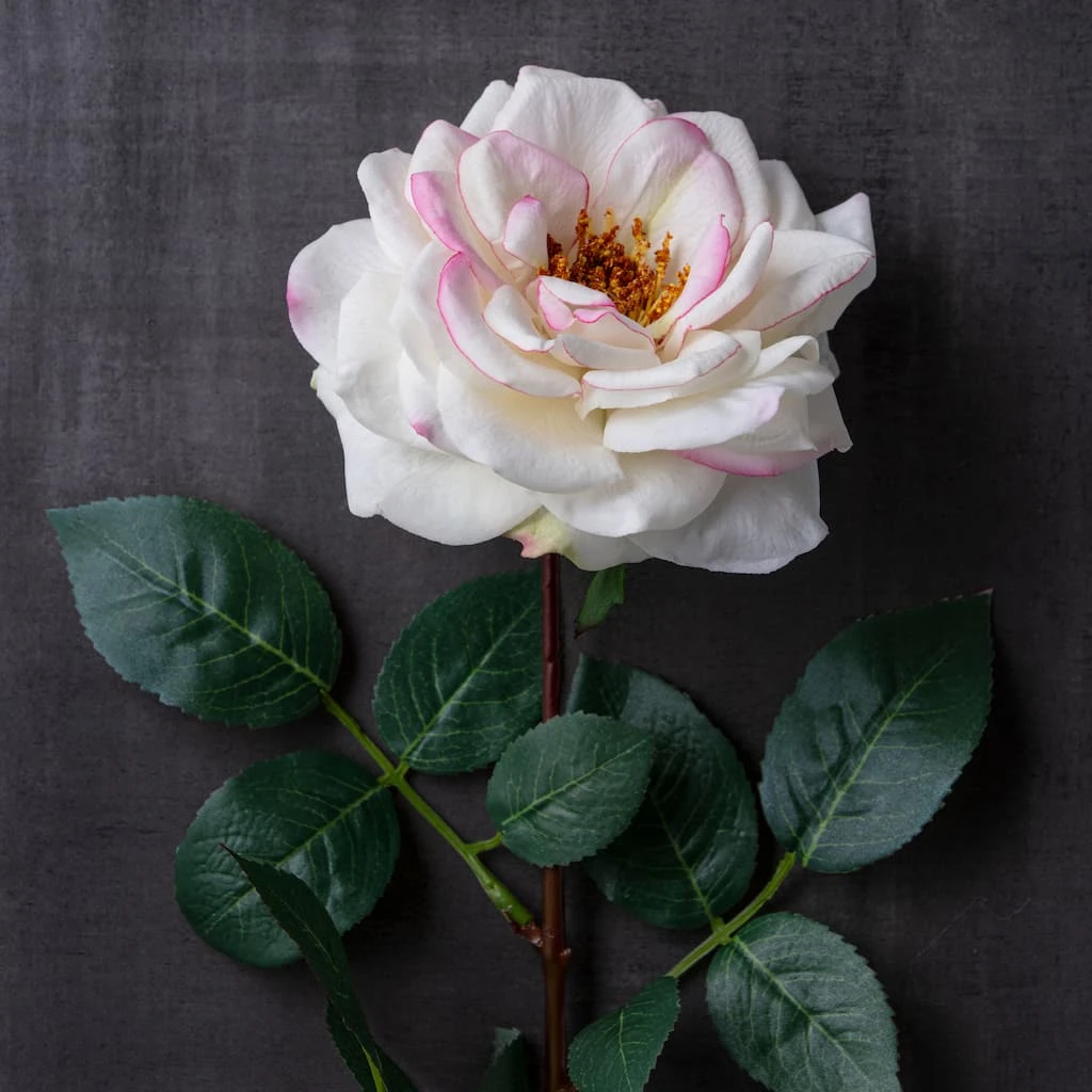 Best deal π― 12 Pack: Cream Hydrangea Stem by Ashland® π 5 Best deal π― 12 Pack: Cream Hydrangea Stem by Ashland® π - Image 3