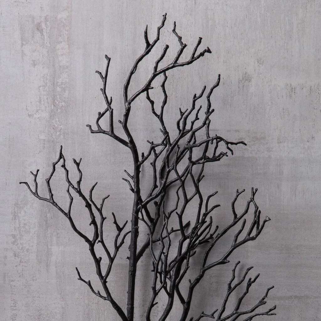 Top 10 β 12 Pack: Black Bare Branch Spray by Ashland® π 5 Top 10 β 12 Pack: Black Bare Branch Spray by Ashland® π - Image 3