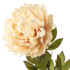 New 🤩 12 Pack: Cream Peony Stem by Ashland® 💯 -Outlet Yuletide Joy Store MP402091 20