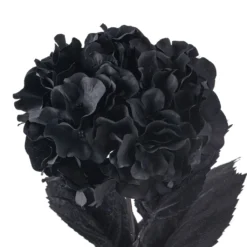 Discount ❤️ 12 Pack: Black Hydrangea Stem by Ashland® 🌟 -Outlet Yuletide Joy Store MP402858 20