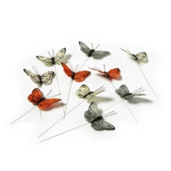 Hot Sale 🎁 12 Packs: 12 ct. (144 total) Small Bright Butterflies by Ashland® 😀 -Outlet Yuletide Joy Store MP407687 21