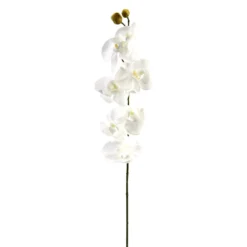 Brand new 🤩 16 Pack: White Moth Orchid Stem by Ashland® 💯
