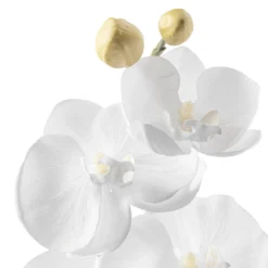Brand new 🤩 16 Pack: White Moth Orchid Stem by Ashland® 💯 -Outlet Yuletide Joy Store MP413038 20