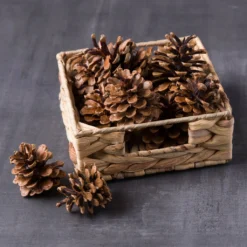 Best Sale ⭐ 12 Pack: Pinecone Bag by Ashland® 🥰 -Outlet Yuletide Joy Store MP424644 22