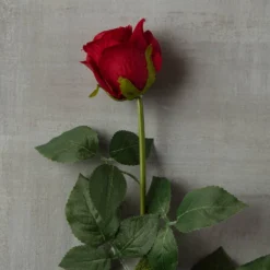 Outlet ⭐ 12 Pack: Red Dutch Rose Stem by Ashland® ⭐ -Outlet Yuletide Joy Store MP430282 25