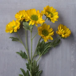 Cheap 🥰 12 Pack: Gold Daisy Mum Spray by Ashland® ✨ -Outlet Yuletide Joy Store MP430308 22