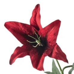 Wholesale π 12 Pack: Red Casablanca Lily Stem by Ashland® β 8 Wholesale π 12 Pack: Red Casablanca Lily Stem by Ashland® β -Outlet Yuletide Joy Store MP430444 20