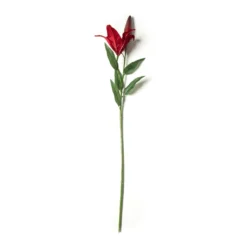 Wholesale π 12 Pack: Red Casablanca Lily Stem by Ashland® β 9 Wholesale π 12 Pack: Red Casablanca Lily Stem by Ashland® β -Outlet Yuletide Joy Store MP430444 21