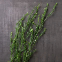 Cheap 🔔 12 Pack: Green Trailing Grass Spray by Ashland® 🛒 -Outlet Yuletide Joy Store MP449806 22