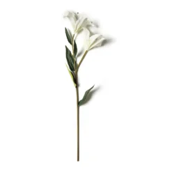 Cheapest π 16 Pack: White Lily Stem by Ashland® β¨ 9 Cheapest π 16 Pack: White Lily Stem by Ashland® β¨ -Outlet Yuletide Joy Store MP450085 21
