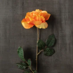 Hot Sale 👍 12 Pack: Salmon Rose Stem by Ashland® ⭐ -Outlet Yuletide Joy Store MP450088 25