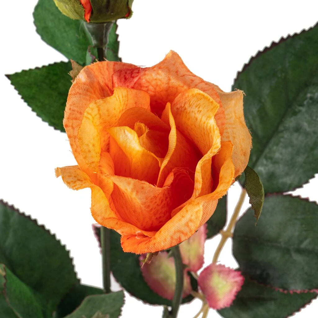 Cheapest ❤️ 12 Pack: Salmon Rose Spray by Ashland® 🔥 6 Cheapest ❤️ 12 Pack: Salmon Rose Spray by Ashland® 🔥 - Image 4