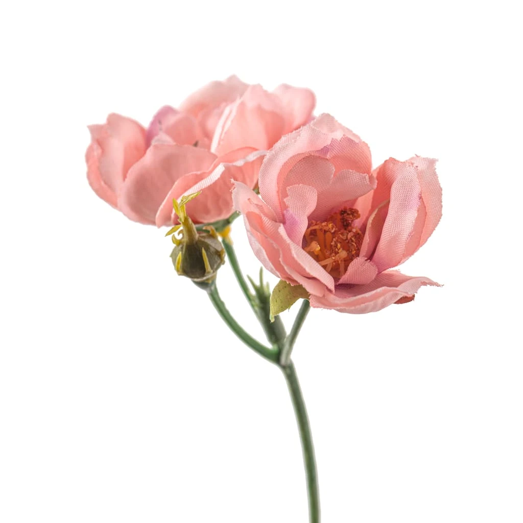 Budget π₯ 12 Pack: Pink Kate Rose Spray by Ashland® β 5 Budget π₯ 12 Pack: Pink Kate Rose Spray by Ashland® β - Image 3