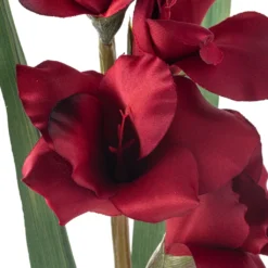 Hot Sale 🌟 12 Pack: Burgundy Gladiolus Stem by Ashland® ✨ -Outlet Yuletide Joy Store MP451146 20