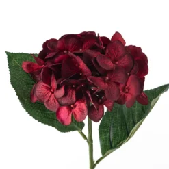Budget 🌟 12 Pack: Burgundy Hydrangea Stem by Ashland® ⭐ -Outlet Yuletide Joy Store MP451148 20