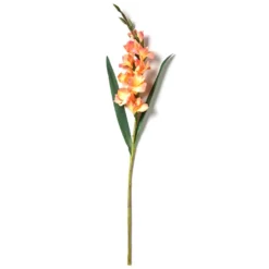 New 🧨 12 Pack: Salmon Gladiolus Stem by Ashland® ✨ -Outlet Yuletide Joy Store MP451152 21