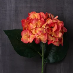 Flash Sale 🥰 12 Pack: Orange Hydrangea Stem by Ashland® 👏 -Outlet Yuletide Joy Store MP451157 22