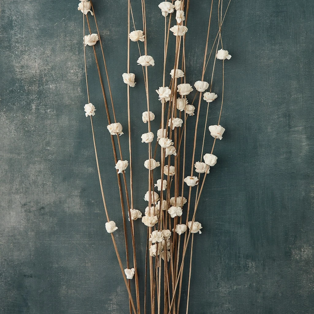 Outlet π 6 Pack: Natural Ting Branches with Sola Flowers by Ashland® β¨ 4 Outlet π 6 Pack: Natural Ting Branches with Sola Flowers by Ashland® β¨ - Image 2