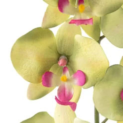 Top 10 🔔 12 Pack: Green & Pink Orchid Spray by Ashland® ❤️ -Outlet Yuletide Joy Store MP459035 20