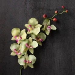 Top 10 🔔 12 Pack: Green & Pink Orchid Spray by Ashland® ❤️ -Outlet Yuletide Joy Store MP459035 22