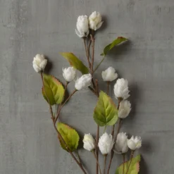 New 😀 12 Pack: Cream Hops Spray by Ashland® 🧨 -Outlet Yuletide Joy Store MP461196 25