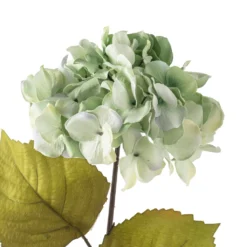 Brand new ⌛ 12 Pack: Seafoam Green Hydrangea Stem by Ashland® 😀 -Outlet Yuletide Joy Store MP461200 20
