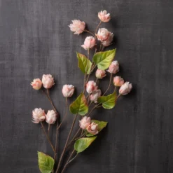 Deals 👏 12 Pack: Blush Hops Stem by Ashland® ❤️ -Outlet Yuletide Joy Store MP461606 22