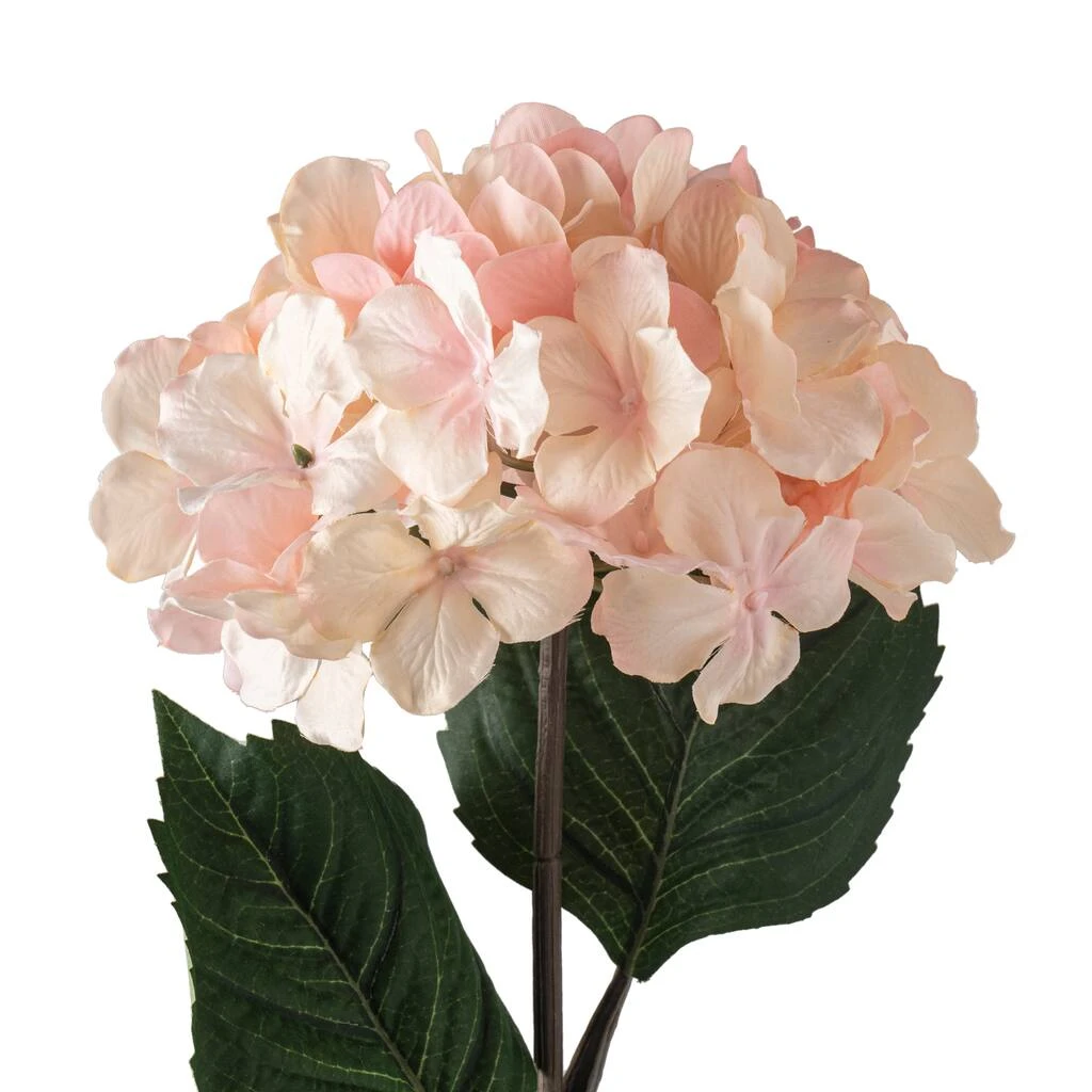Promo ⭐ 12 Pack: Peach Pink Hydrangea Stem by Ashland® 🥰 6 Promo ⭐ 12 Pack: Peach Pink Hydrangea Stem by Ashland® 🥰 - Image 4