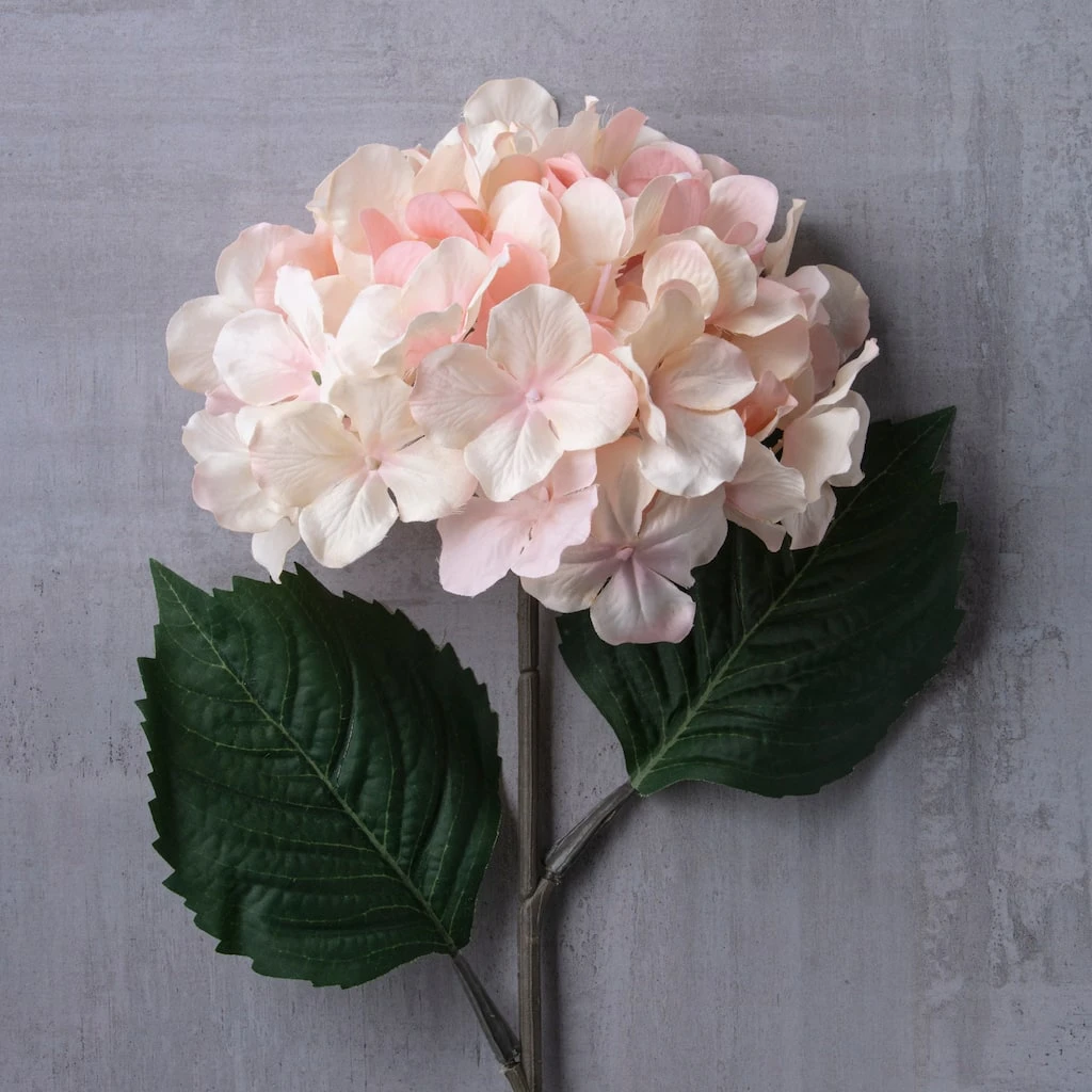 Promo ⭐ 12 Pack: Peach Pink Hydrangea Stem by Ashland® 🥰 8 Promo ⭐ 12 Pack: Peach Pink Hydrangea Stem by Ashland® 🥰 - Image 6