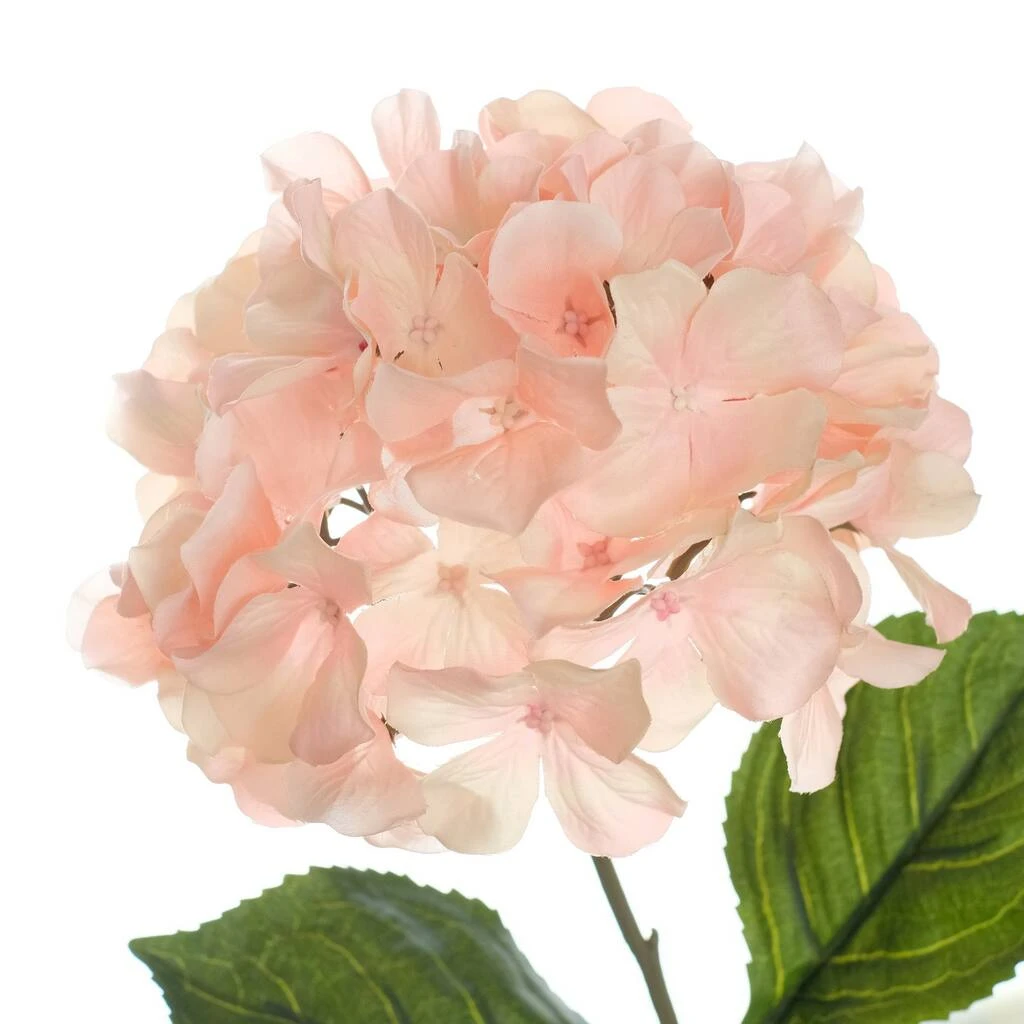 Promo ⭐ 12 Pack: Peach Pink Hydrangea Stem by Ashland® 🥰 4 Promo ⭐ 12 Pack: Peach Pink Hydrangea Stem by Ashland® 🥰 - Image 2