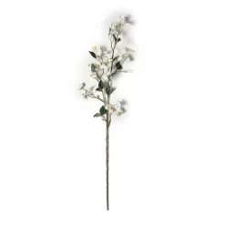Coupon π 12 Pack: White Mini Dogwood Stem by Ashland® π 13 Coupon π 12 Pack: White Mini Dogwood Stem by Ashland® π -Outlet Yuletide Joy Store MP461654 21