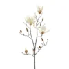 Best Sale ⌛ 12 Pack: White Magnolia Branch Spray by Ashland® ⭐ -Outlet Yuletide Joy Store MP468846 1