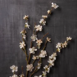 Buy ❤️ 12 Pack: Cream Peach Blossom Stem by Ashland® 😀 9 Buy ❤️ 12 Pack: Cream Peach Blossom Stem by Ashland® 😀 -Outlet Yuletide Joy Store MP468902 22