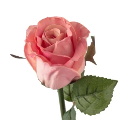 Best reviews of ❤️ 12 Pack: Light Pink Faux Rose by Ashland® 😉 -Outlet Yuletide Joy Store MP501467 20